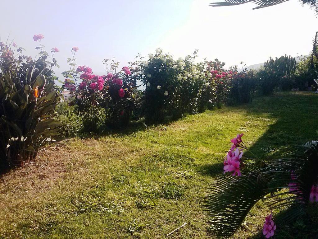 Villa Fontana Tropea Buitenkant foto
